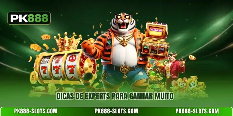 Dicas de experts para ganhar muito